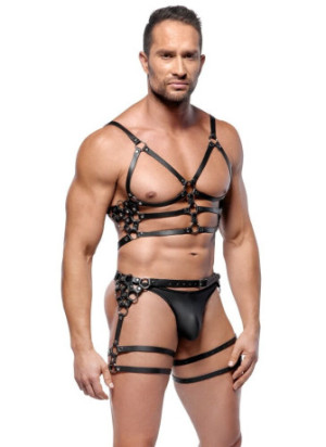Leather Harness Set